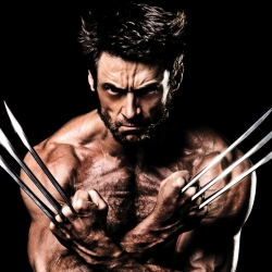 wolverine